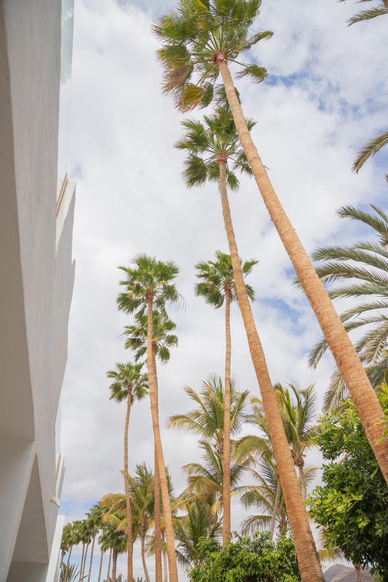 Palm Beach Fuerteventura タラハレホ エクステリア 写真
