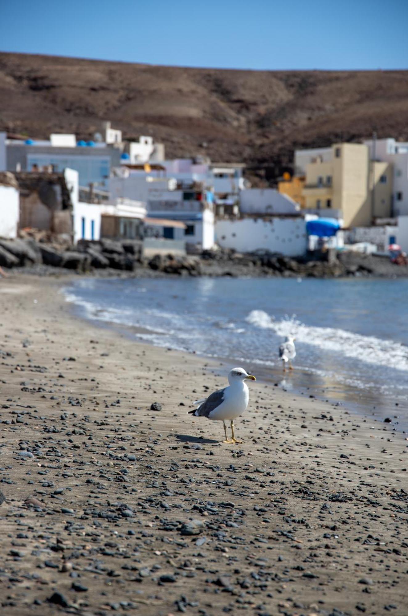 Palm Beach Fuerteventura タラハレホ エクステリア 写真